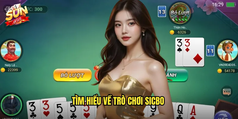Sicbo Sunwin SH - Xúc Xắc May Mắn Châu Á Đích Thực 2 Tìm hiểu về trò chơi sicbo